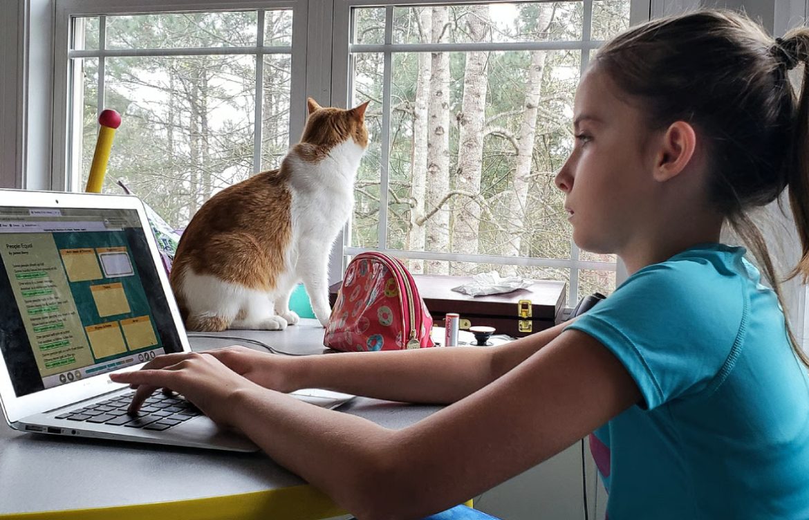 Scratch Programming Guide for Beginners